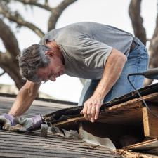 The Importance of Removing Mold from Your Residential Roof